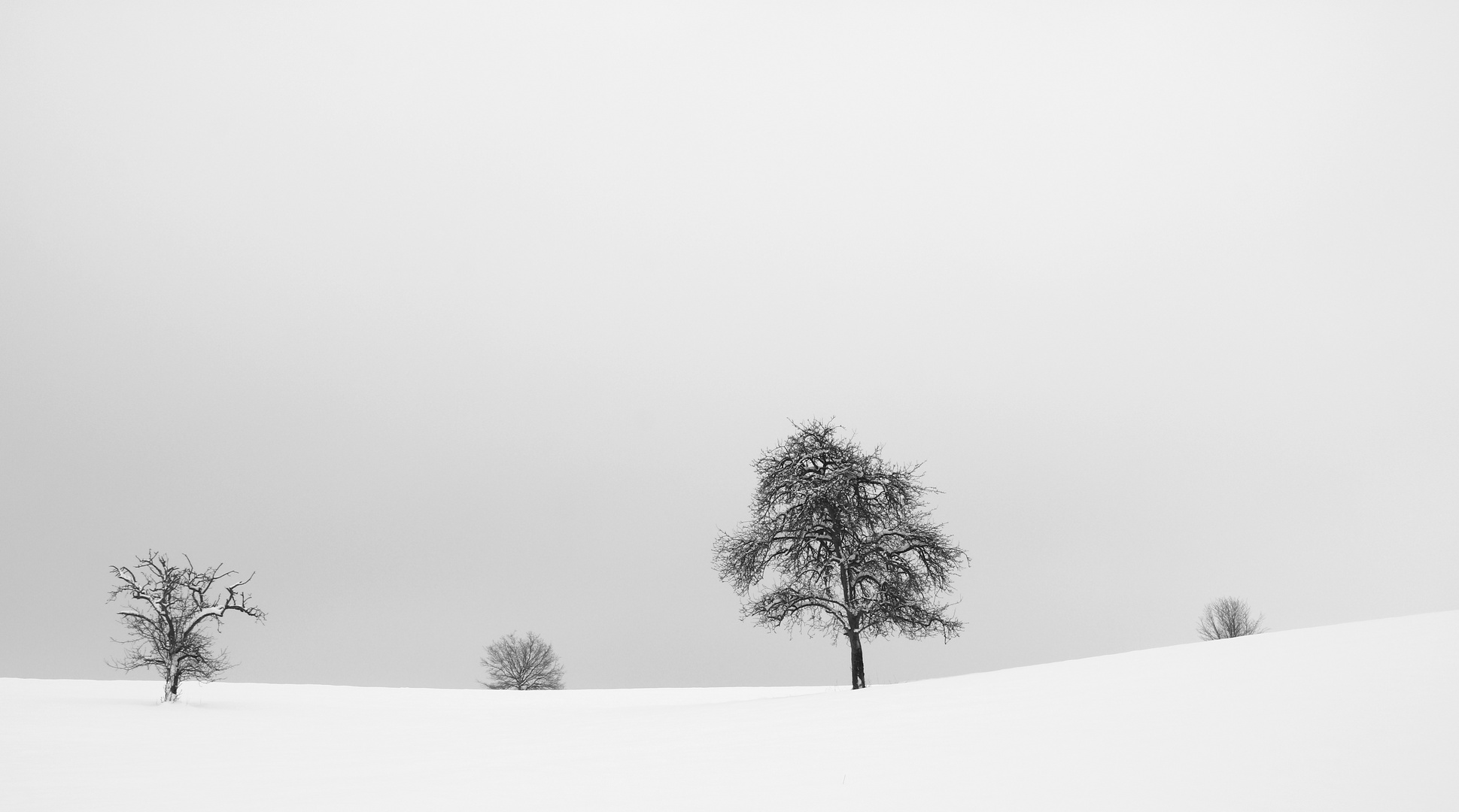 Winterimpression