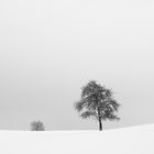 Winterimpression