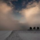 Winterimpression