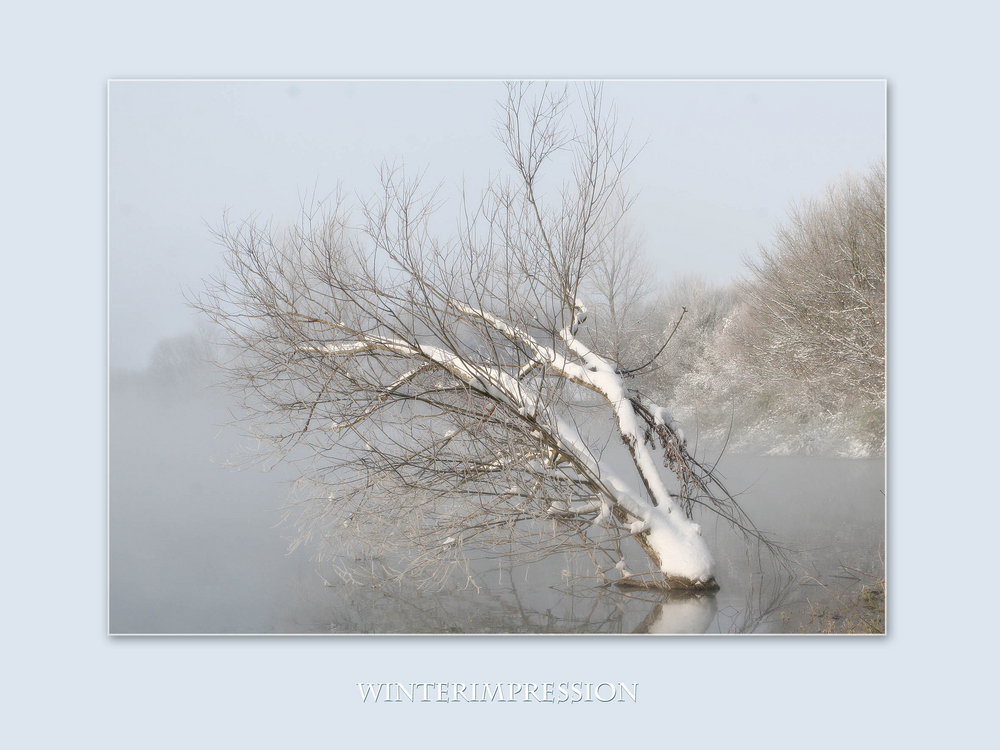 Winterimpression