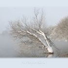 Winterimpression