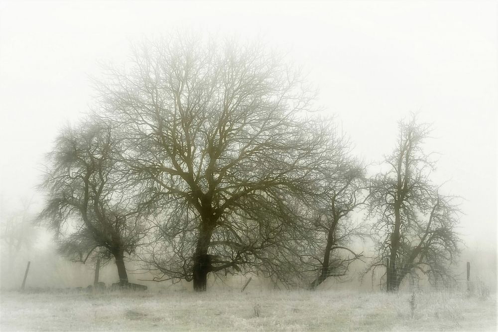 Winterimpression