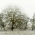 Winterimpression