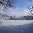 Winterimpression am Bergsee