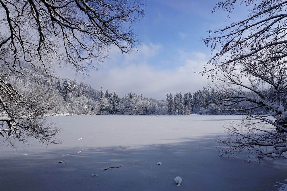 Winterimpression am Bergsee