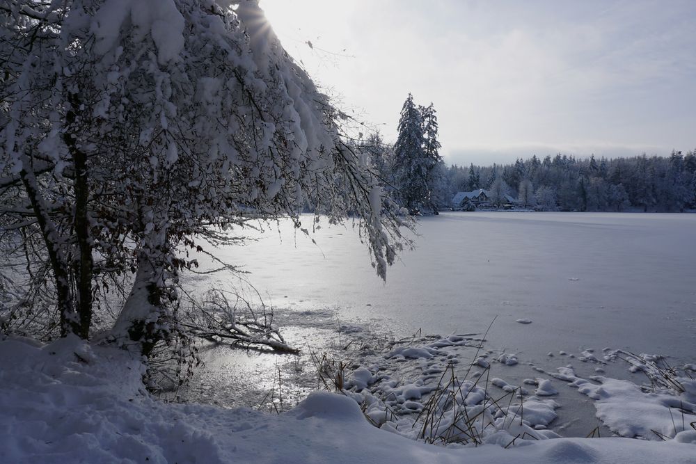 Winterimpression am Bergsee