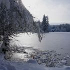 Winterimpression am Bergsee