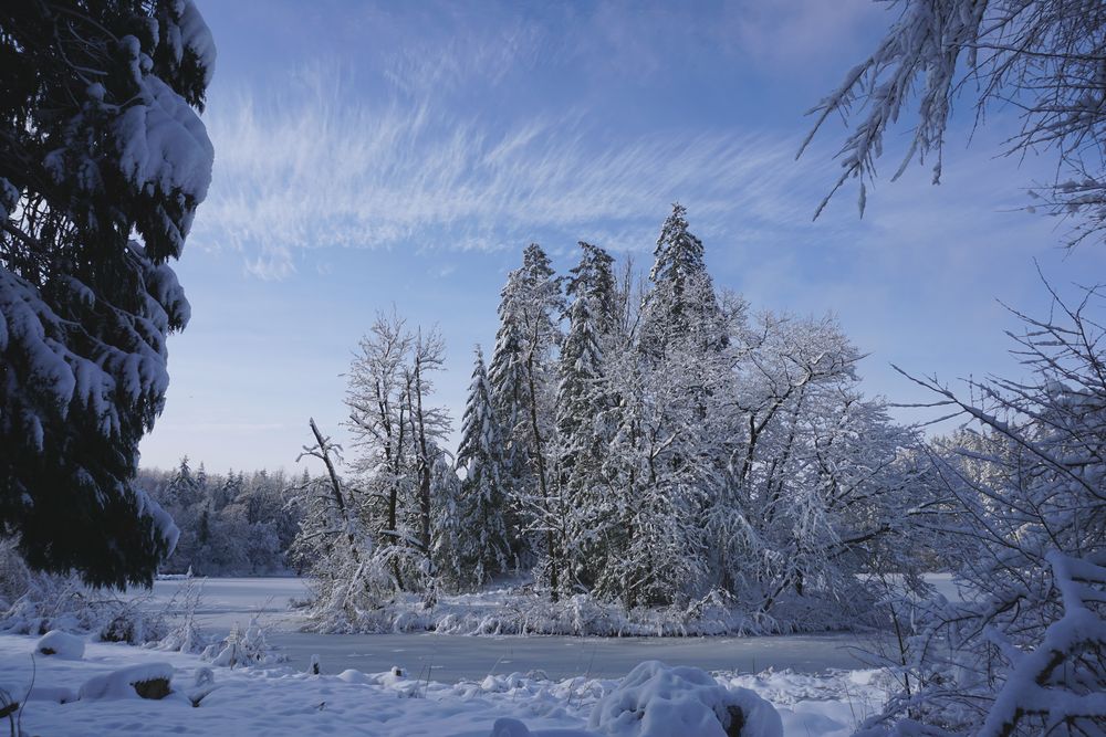 Winterimpression am Bergsee