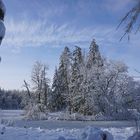 Winterimpression am Bergsee