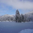 Winterimpression am Bergsee