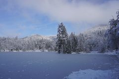 Winterimpression am Bergsee