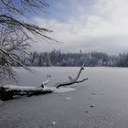 Winterimpression am Bergsee