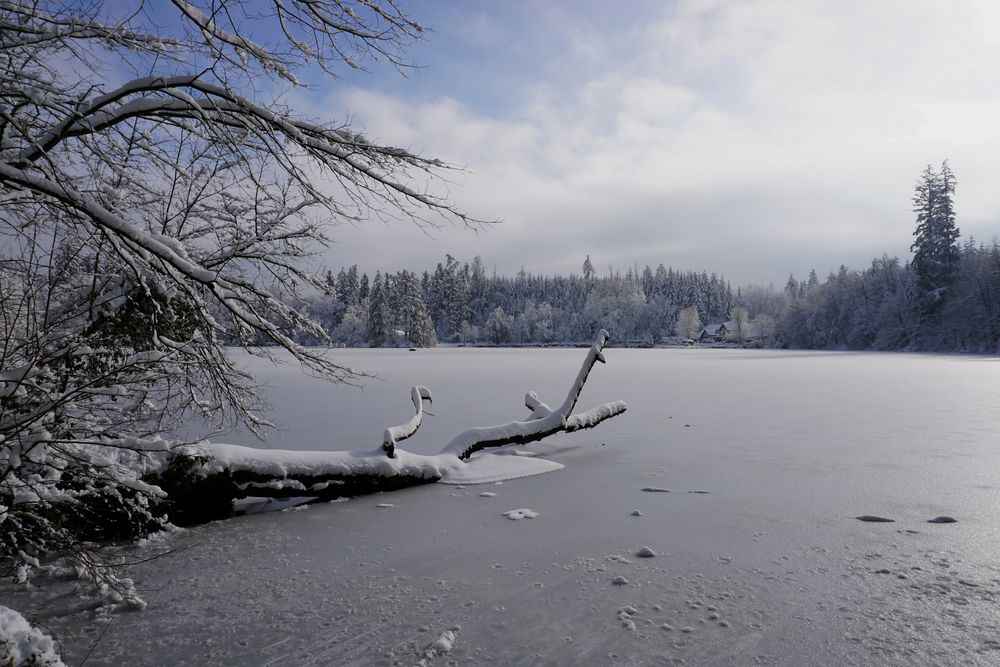 Winterimpression am Bergsee