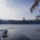 Winterimpression am Bergsee