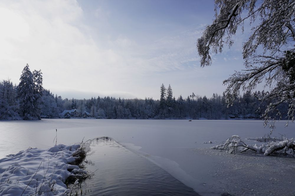 Winterimpression am Bergsee