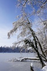 Winterimpression am Bergsee