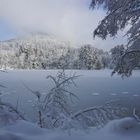 Winterimpression am Bergsee