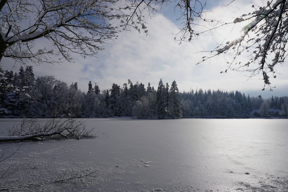 Winterimpression am Bergsee