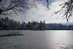 Winterimpression am Bergsee