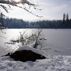 Winterimpression am Bergsee