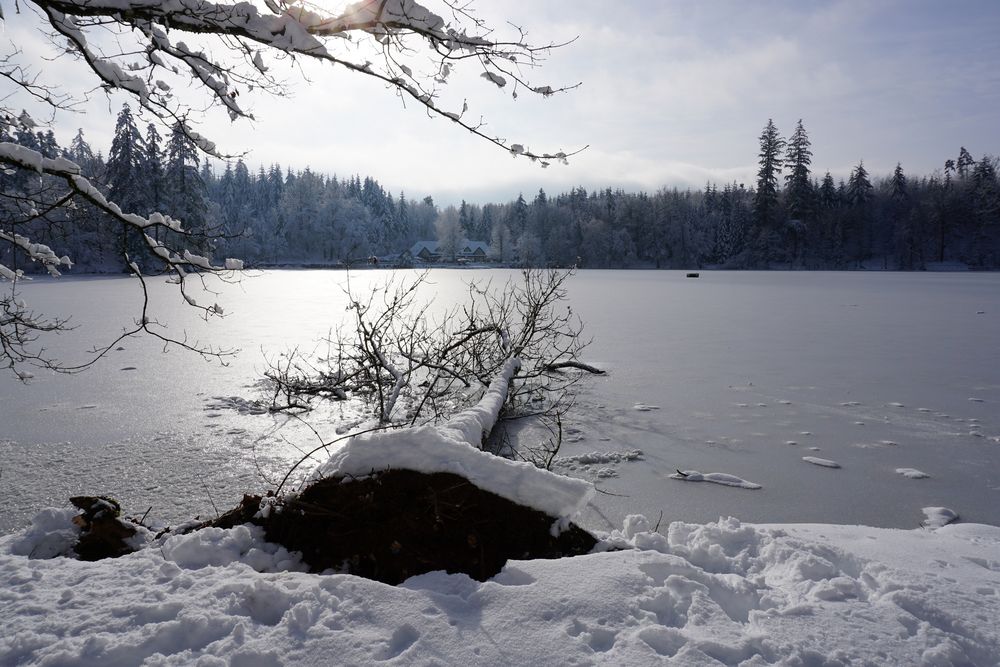 Winterimpression am Bergsee