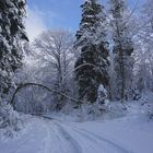 Winterimpression am Bergsee