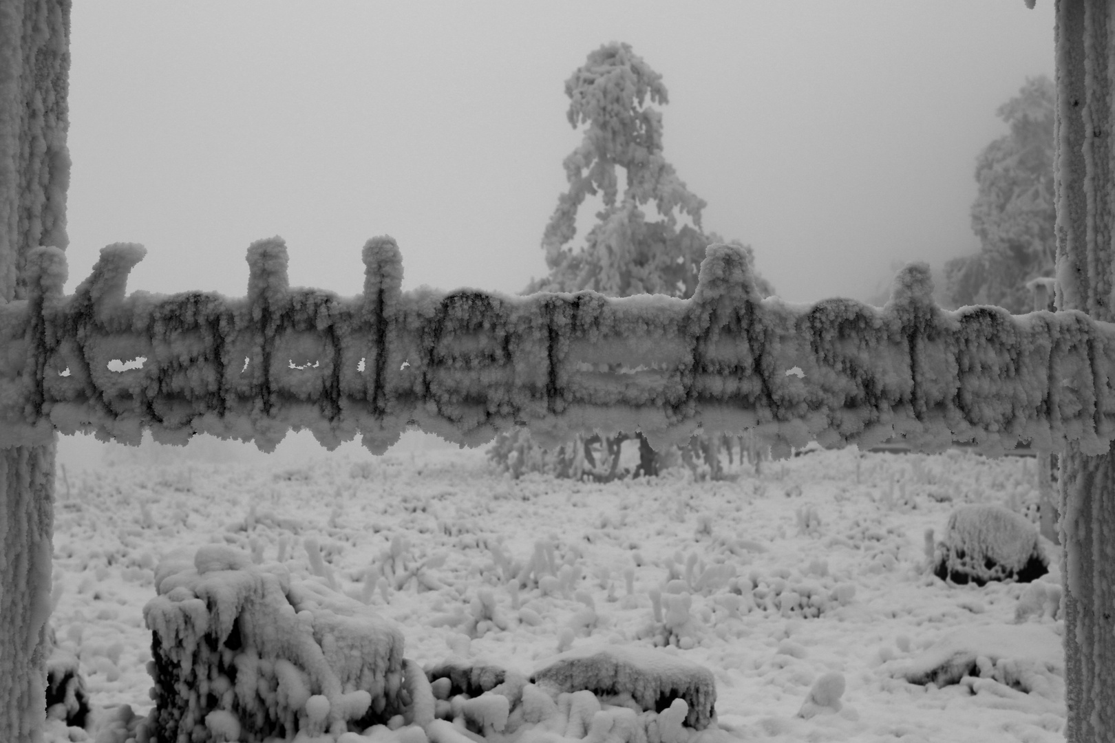 Winterimpression am kahlen Asten