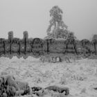 Winterimpression am kahlen Asten