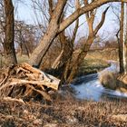 Winterimpression am Löbauer Wasser, einem Fluß in meiner Heimat