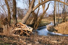 Winterimpression am Löbauer Wasser, einem Fluß in meiner Heimat