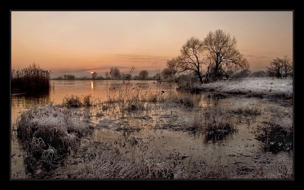 Winterimpression am See II