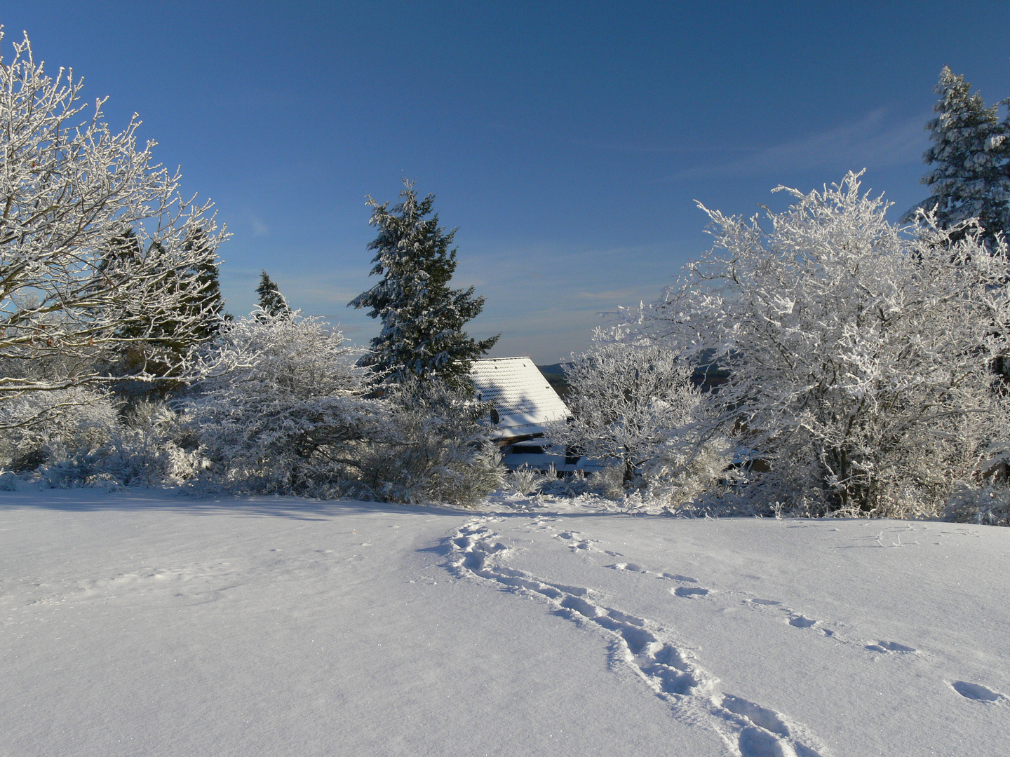 Winterimpression am Steinerberg