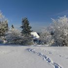 Winterimpression am Steinerberg