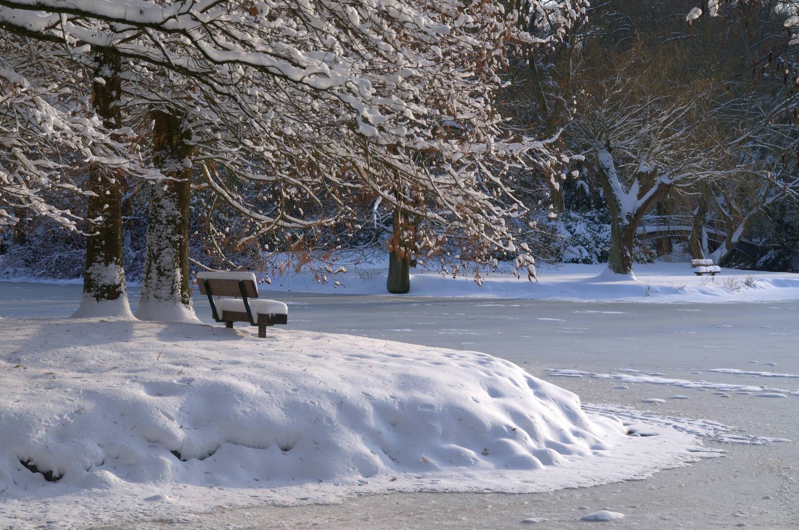 Winterimpression am Weiher im Volksgarten