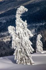 Winterimpression - Arbermandl