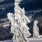 Winterimpression - Arbermandl