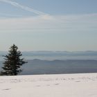 Winterimpression auf dem Kandel