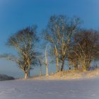 Winterimpression auf den Eifelhöhen