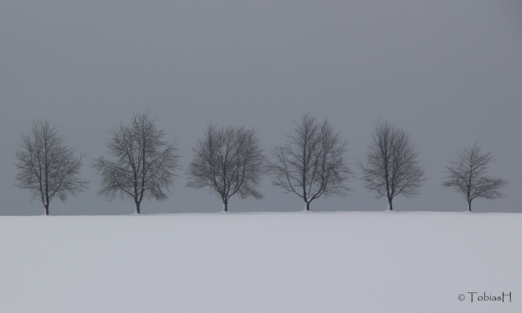 Winterimpression aus dem Schwarzwald