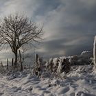 Winterimpression aus dem Siebengebirge