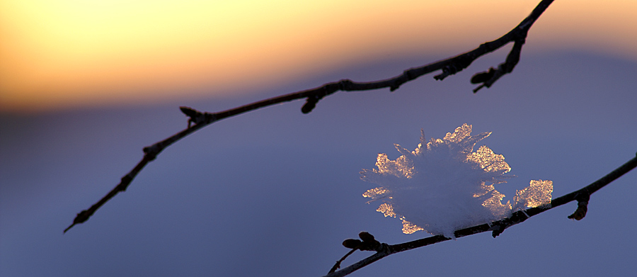 Winterimpression aus Lappland 002