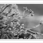 Winterimpression