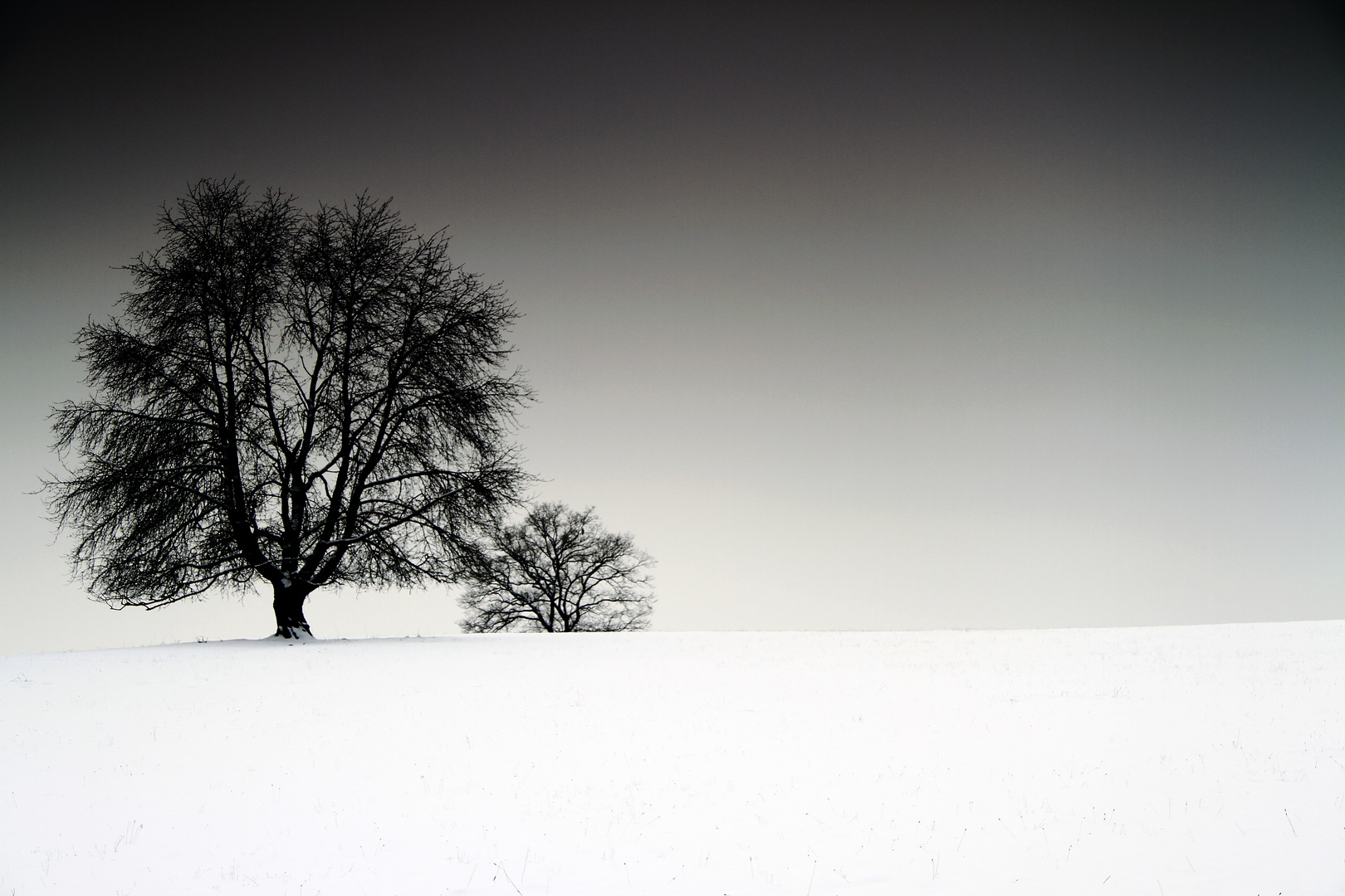 Winterimpression