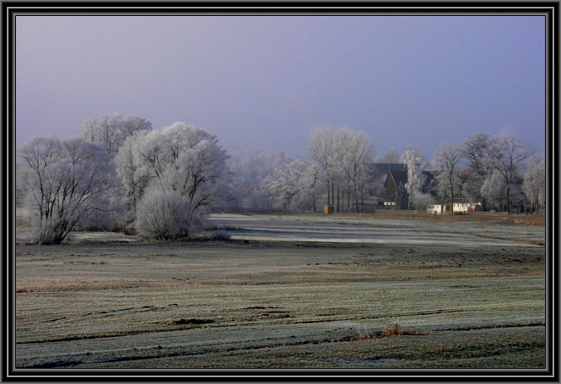 Winterimpression