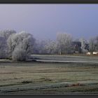 Winterimpression