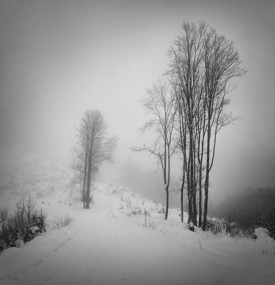 Winterimpression