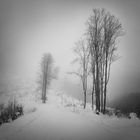 Winterimpression