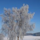 Winterimpression