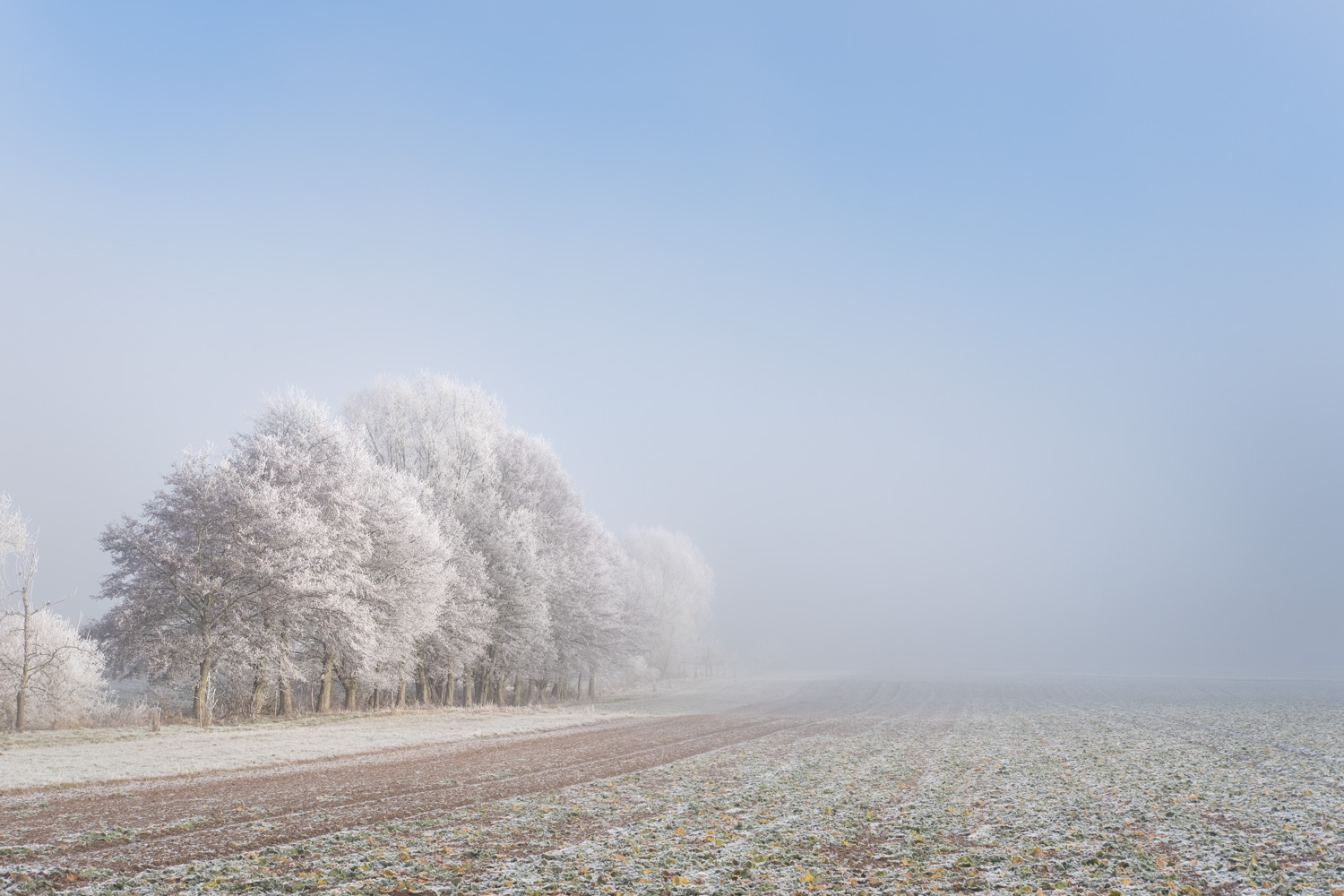 Winterimpression