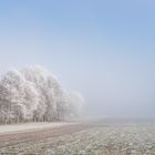 Winterimpression